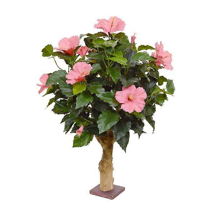 Hibiscus plant (65 cm)