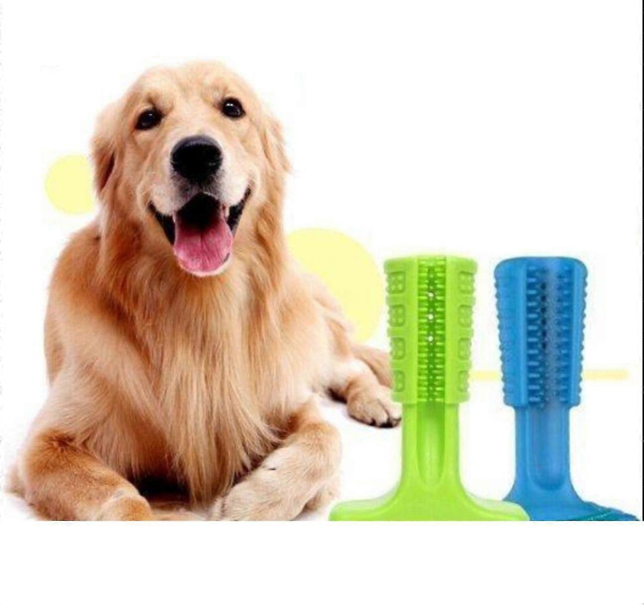 smart toothbrush for dogs