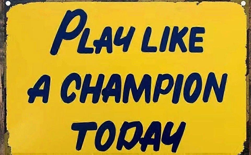 NEW Notre Dame   Flag