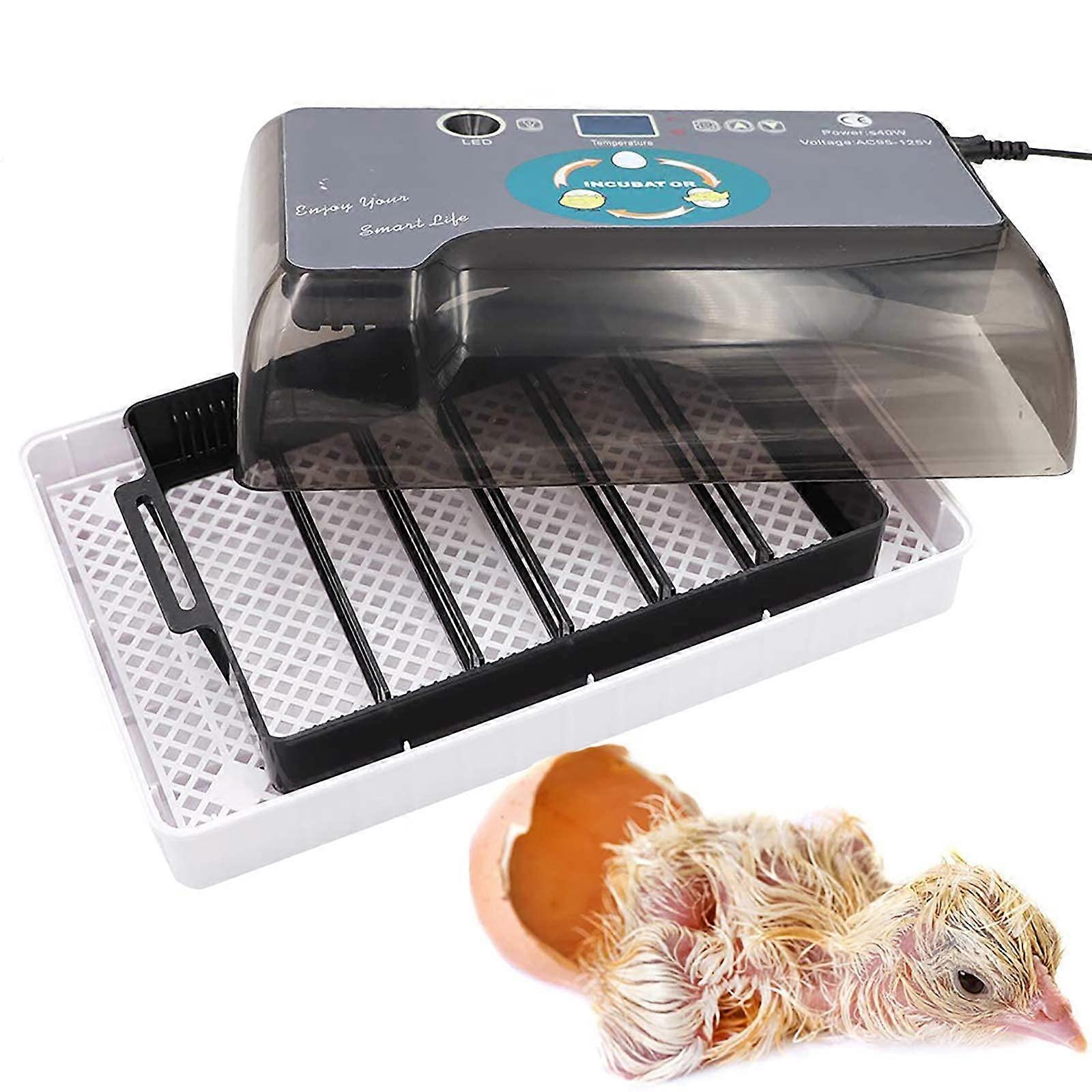 Automatic Egg Incubator 12 Eggs with Egg Turning, Temperature Control and LED Status Display