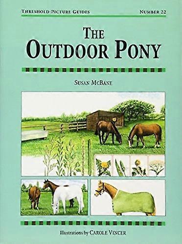 Das Outdoor-Pony