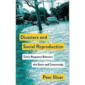 Desastres y reproducción social: respuesta a la crisis entre el Estado y la comunidad (Mapeo de la teoría de la reproducción social)