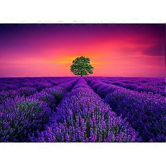 Provence France- Jigsaw Puzzles for Adults Educational Games Colorful Puzzles-Lavender Flower Sea SQZ1075