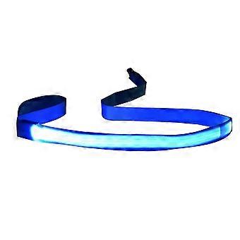 LED Dog Leash Night Activity Pet Puppy Adjustable Flashing Nylon Rope Lead Blue