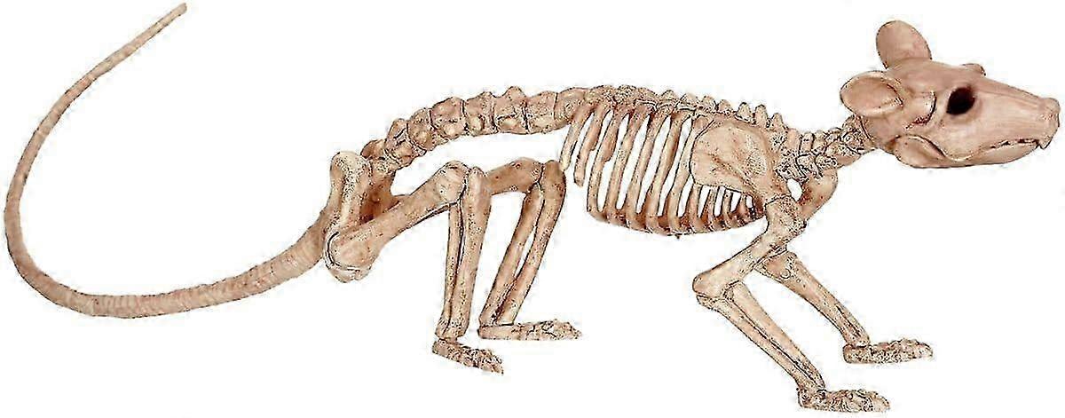 Hlraizz Rat Form Skeleton - Costume Accessory