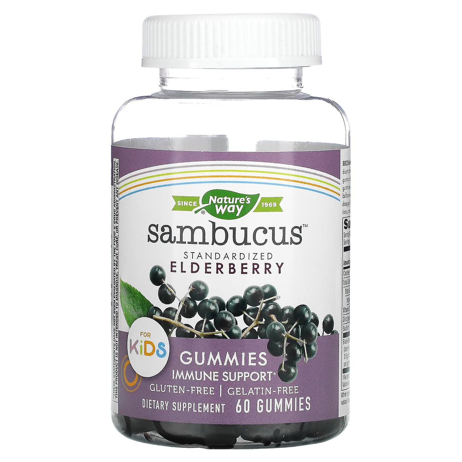 Nature's Way, Sambucus for Kids, Standardized Elderberry Gummies, 60 Gummies