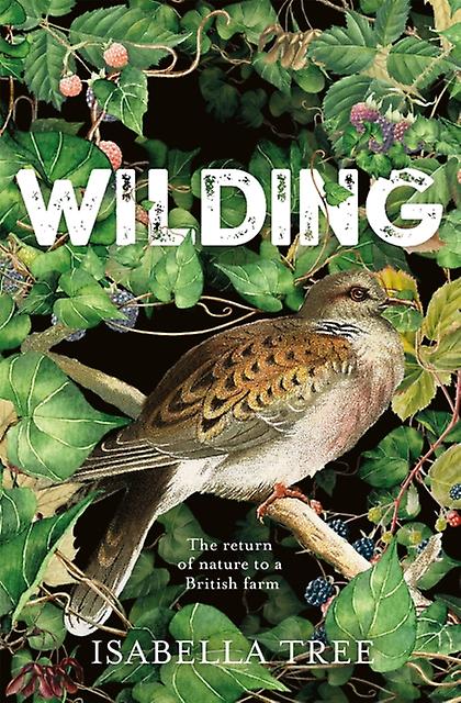 Wilding by Isabella Tree Hardback Book
