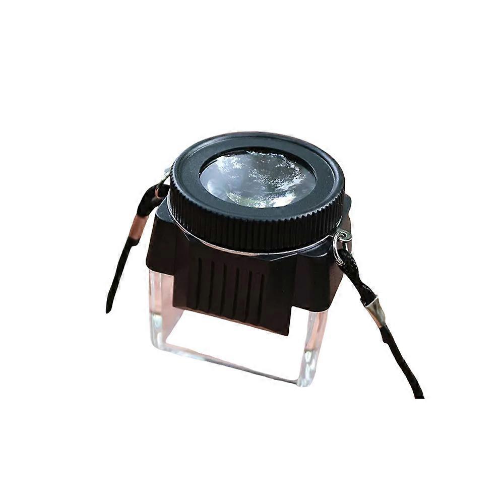 Pro Loupe 10X Magnifying Viewer for Film or View Camera Silver/Gray w/Strap