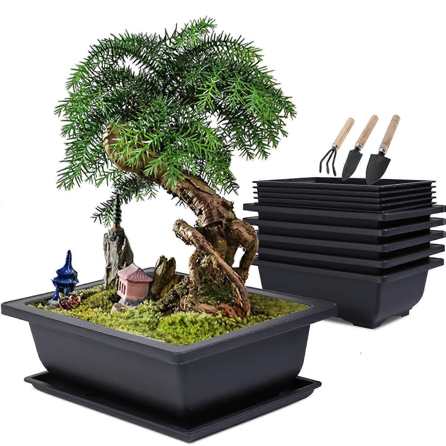 6 Flower Pots Bonsai Bowl with Saucer for Garden Bonsai Training Large Size 16 x 12 x 6 cm