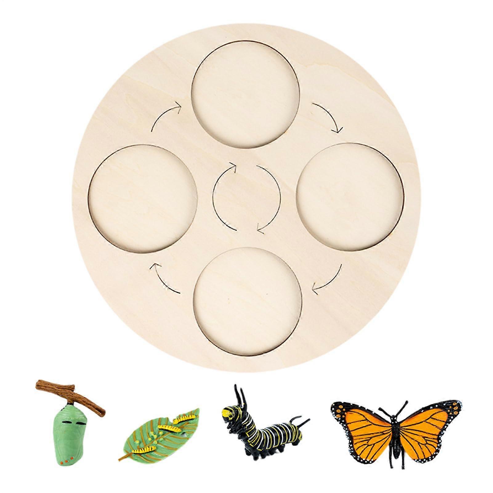 Life Cycle Toy Development Phase Puzzle, Interactive Educational Game with Colorful Design for Discoveries of Chicken, Frog, Butterfly