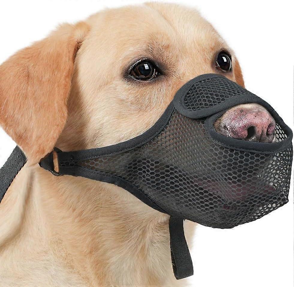 Muzzle For Dogs, Adjustable Loop, Breathable Mesh, Size L, Contains Iron, Prevents Biting, Safe, Educational Aids