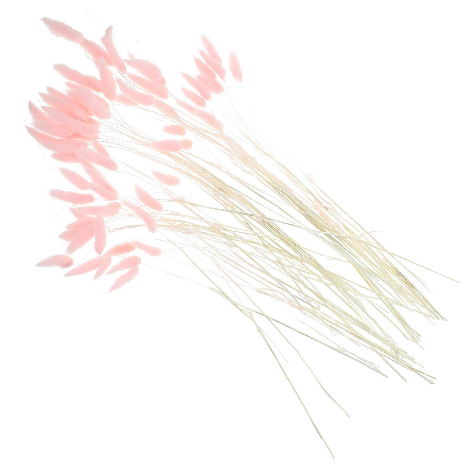 120Pcs Natural Dried Rabbit Tail Grass Pink Stems for Decoration