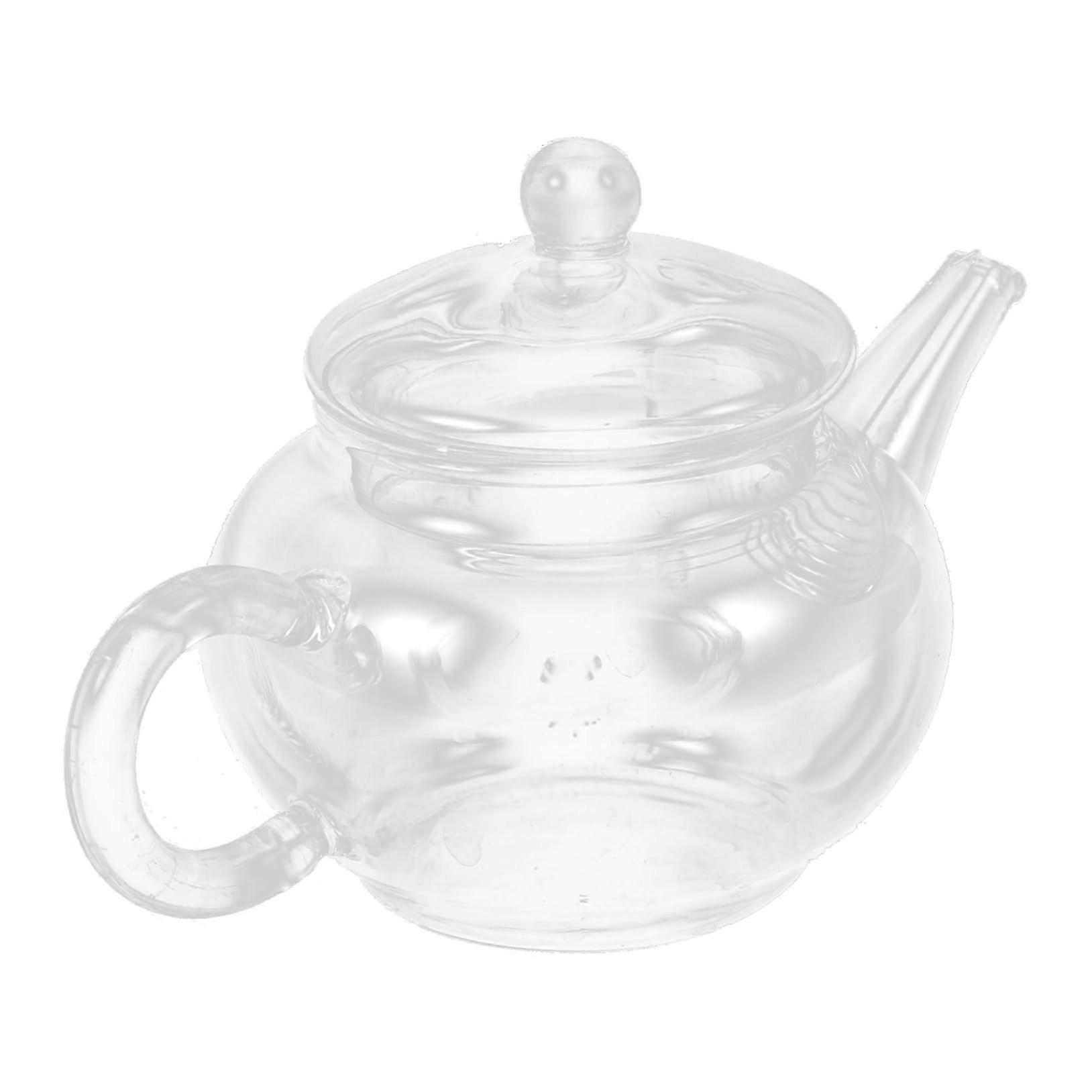 Glass Teapot Heat Resistant Borosilicate with Infuser Small Capacity for Loose Leaf Tea Brewing