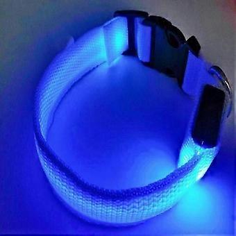 Rechargeable dog collar with light for nighttime safety