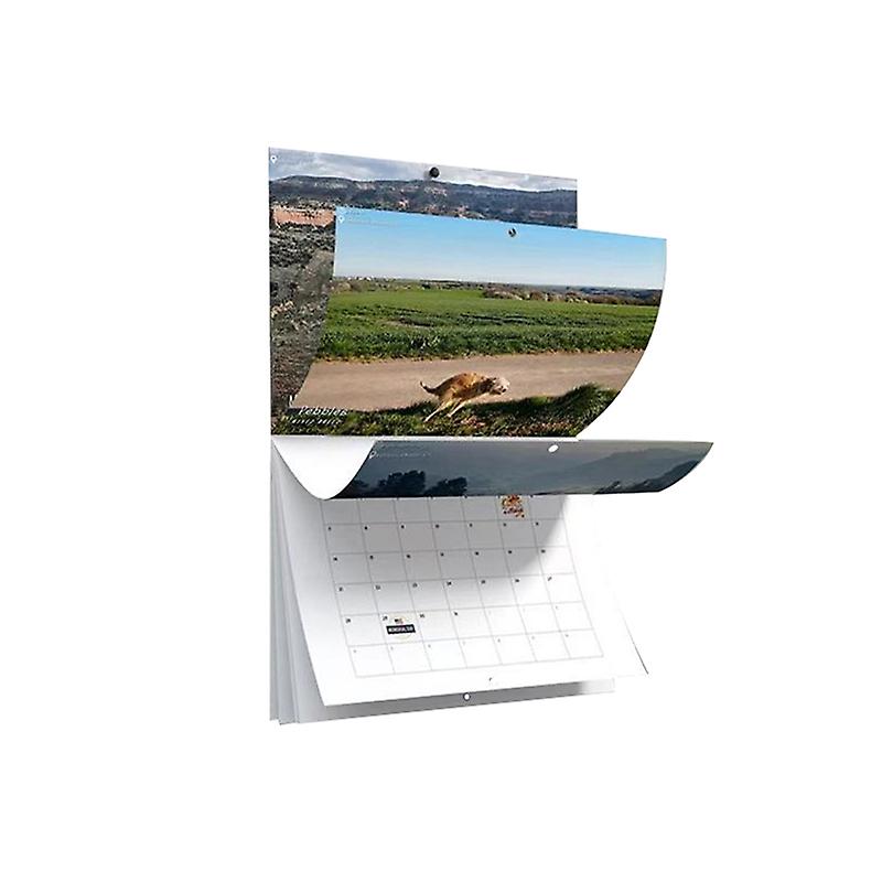 2023 Calendar Funny Calendar Dog Pooping Wall Calendar Pooches Calendar Gift School Office Supplies