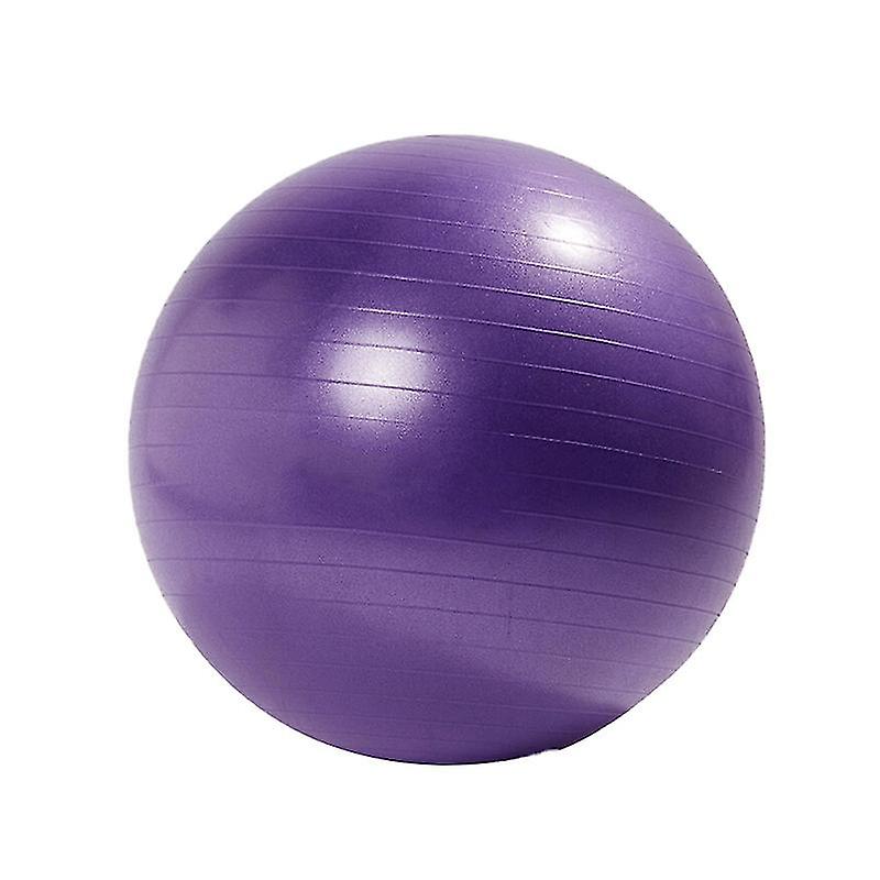 The New 1pcs Exercise Ball