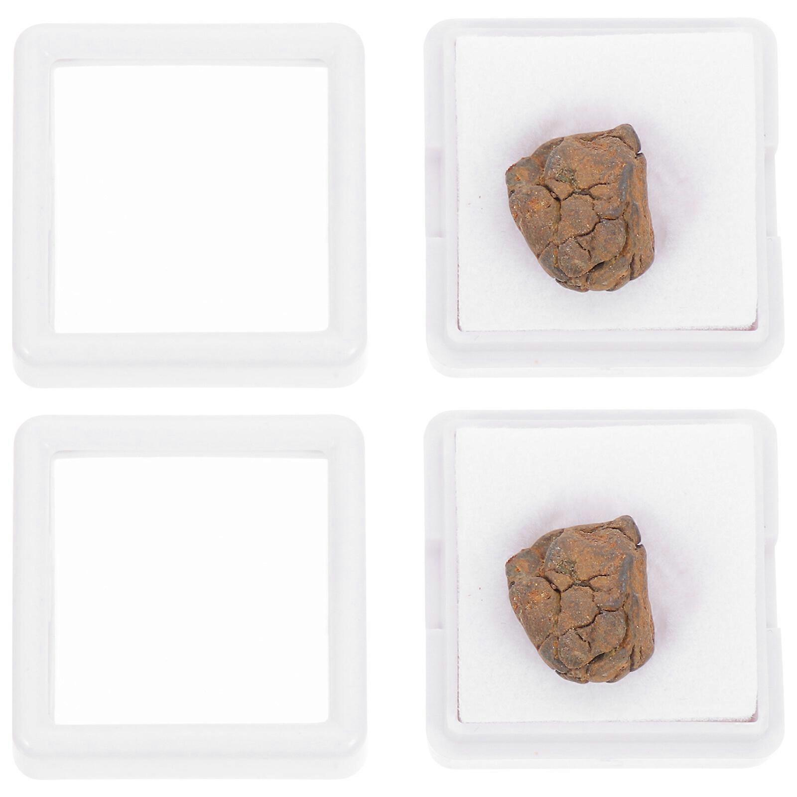 2pcs Lithosiderite Adornment Meteorite Ornament Classroom Teaching Specimen