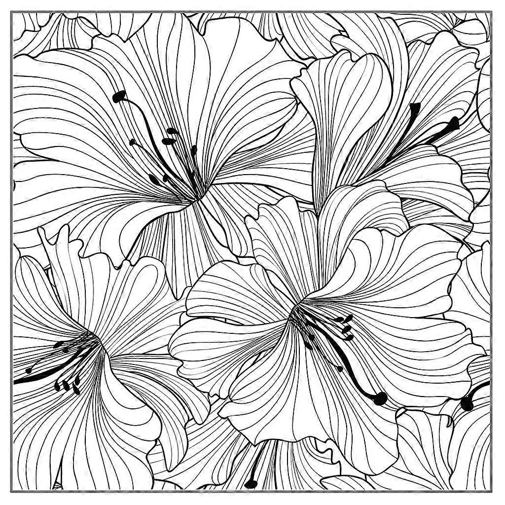 Flower Frame Silicone Clear Stamp for DIY Journaling Planner Embellishments