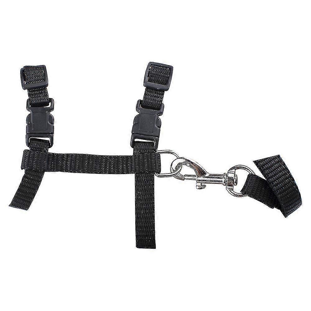 Cat Harness,adjustable Design Nylon Strap Collar, Breakaway Cat Safety Harness