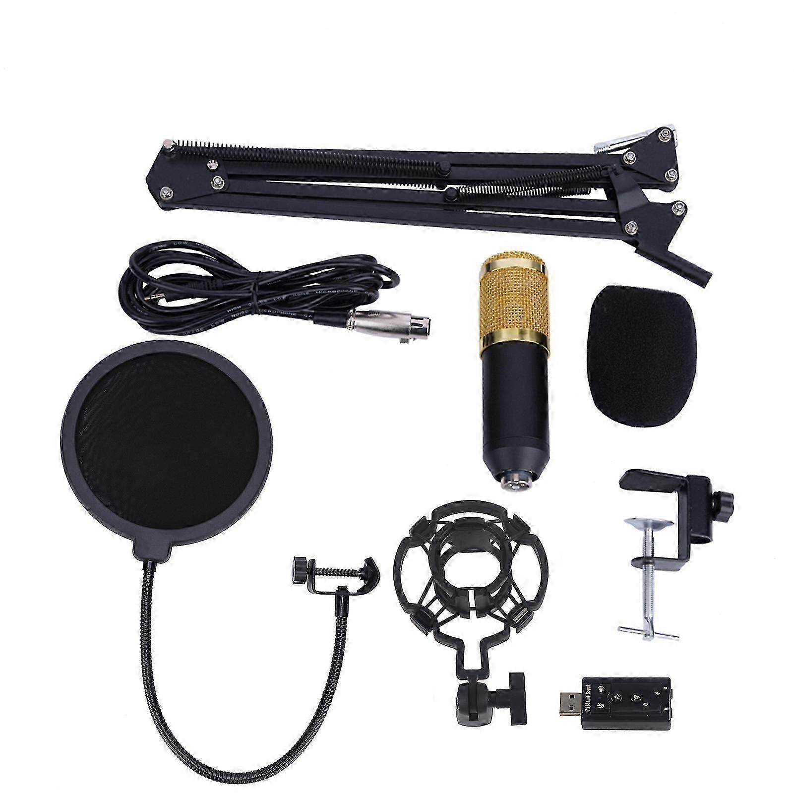 BM800 Studio Condenser Microphone with Arm Stand, Pop Filter, Foam Cap Kit