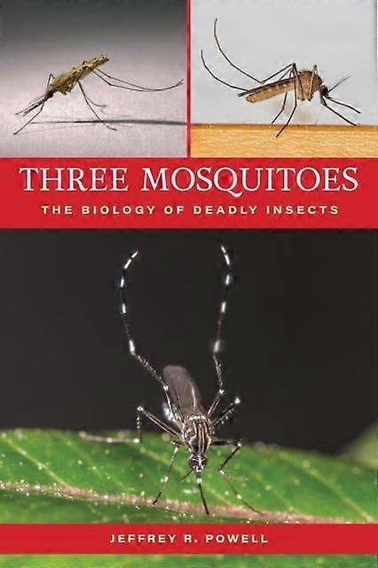 Three Mosquitoes by Jeffrey R. Powell Paperback