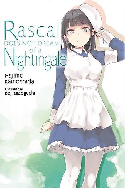 Rascal Does Not Dream Of A Nightingale Light Novel by Keji Mizoguchi Paperback