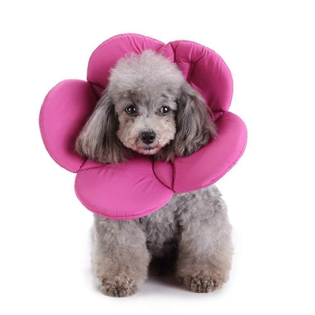 Cat Collar Dog Cone Protective Collar for Pets Recovery Flower Shape Wound Healing Elizabethean Circle Purple Size M