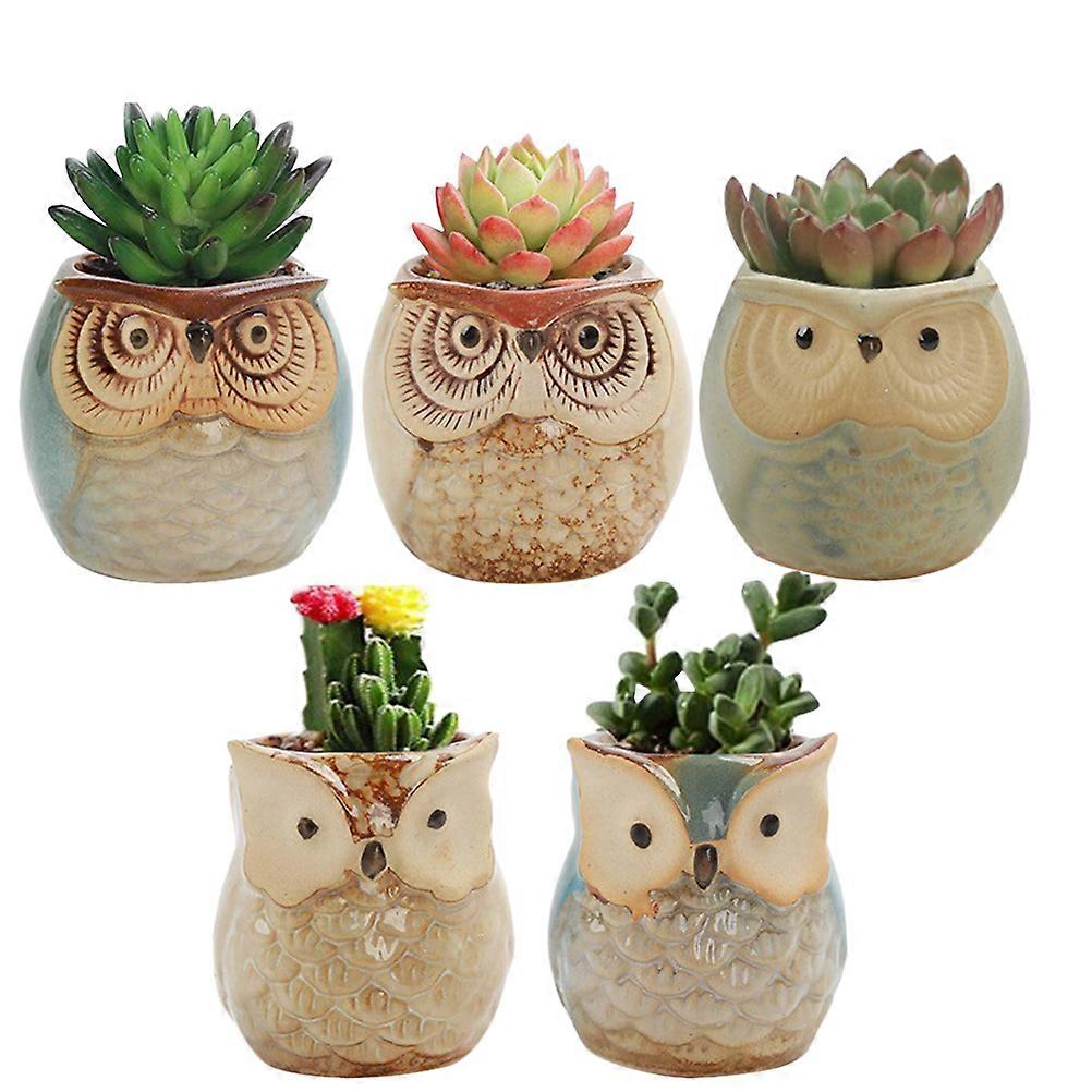 Seedlings Nursery Basin Owl Shape for Storage 5Pcs Ceramic Flower Holders