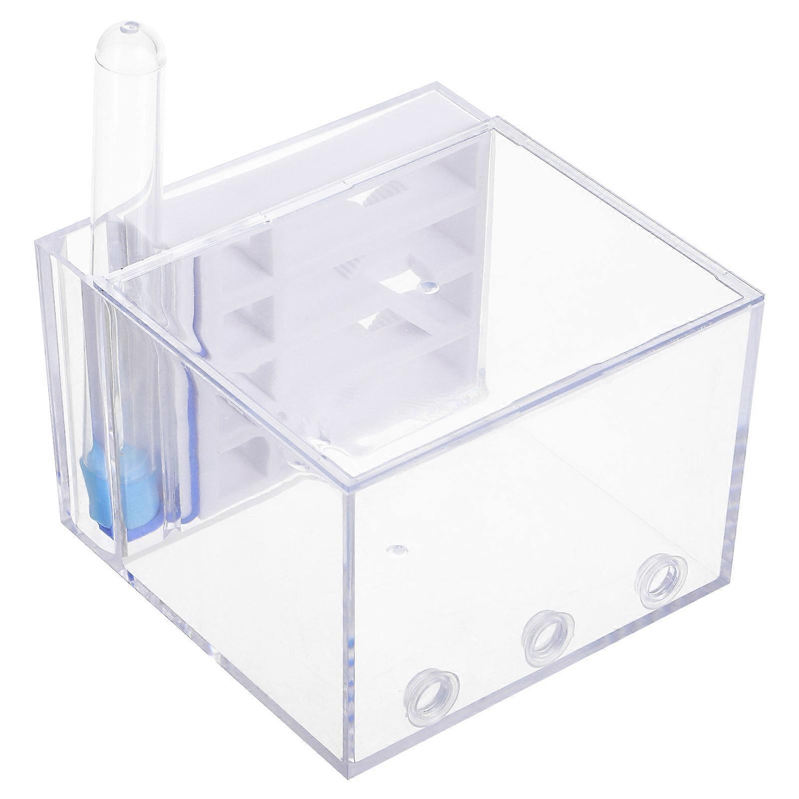 Live Ants Castle Nest Farm for Learning Science Kit for Students Kids