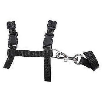 Cat Harness adjustable Design Nylon Strap Collar Breakaway Cat Safety Harness 2026 New 684.