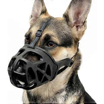 Prevents Biting, Chewing & Scavenging Basket Dog Muzzle
