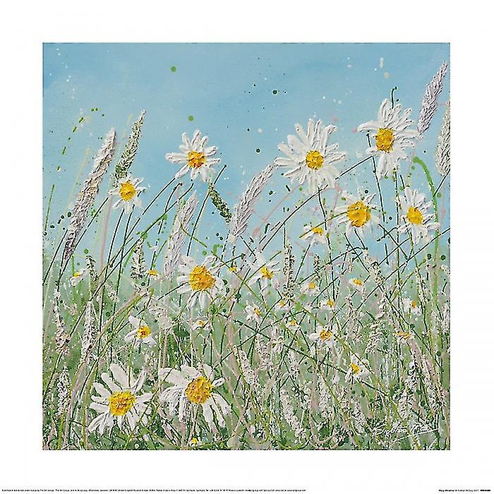 Siobhan McEvoy Daisy Meadow Print