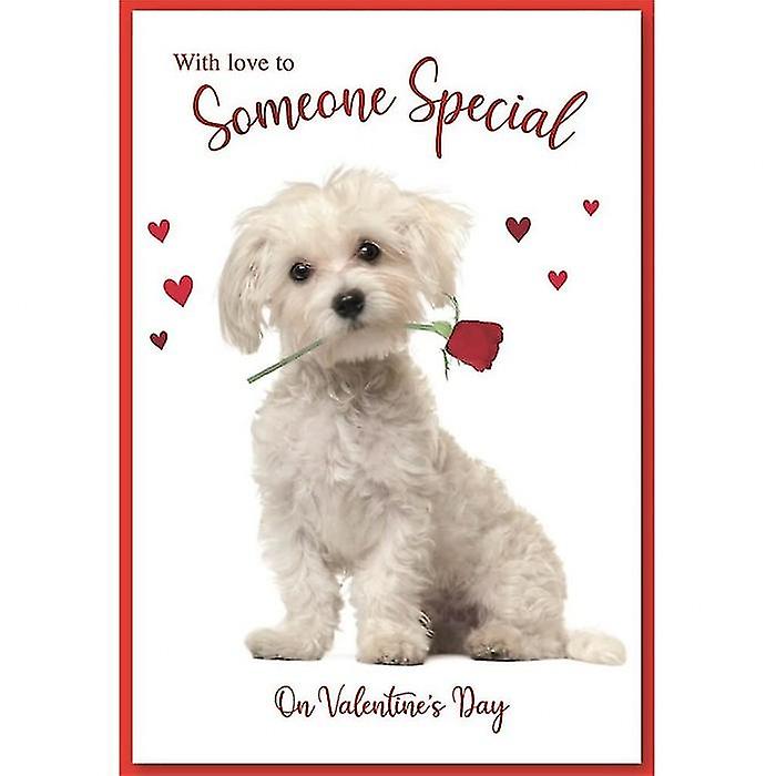 Simon Elvin Puppy Valentine Greetings Card (Pack of 6)