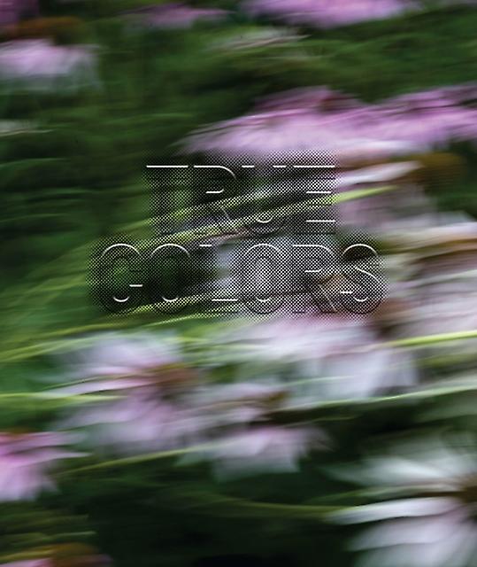 Zora J Murff True Colors Paperback