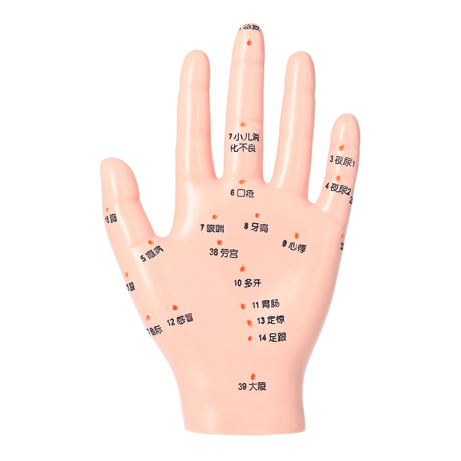 Acupuncture Hand Model Accurate Acupoint Teaching Hand Model for Hospital School