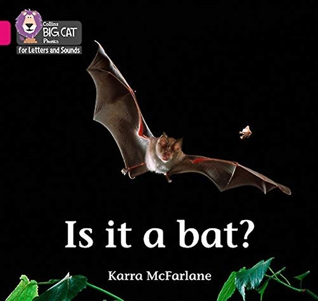 Is It A Bat by Karra McFarlane Paperback