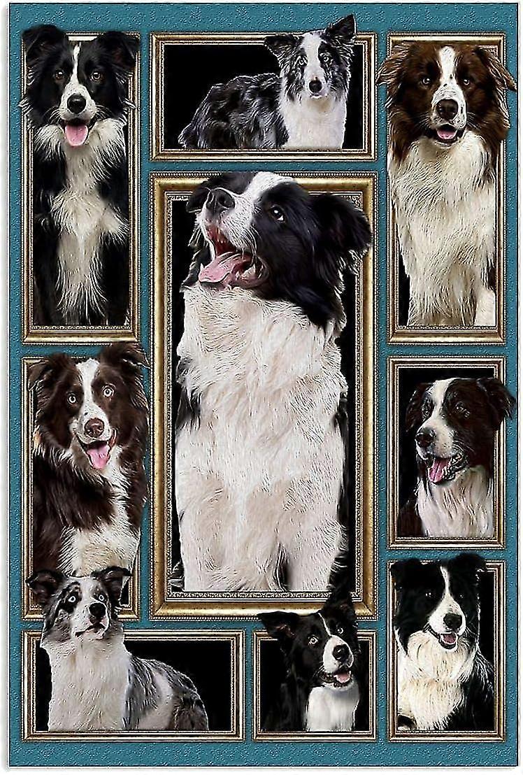 Chien Border Collie, Il Il Était Une Fois Il Y Avait Une Fille Qui Aimait Vraiment Le Border Collie C’était Moi Meta