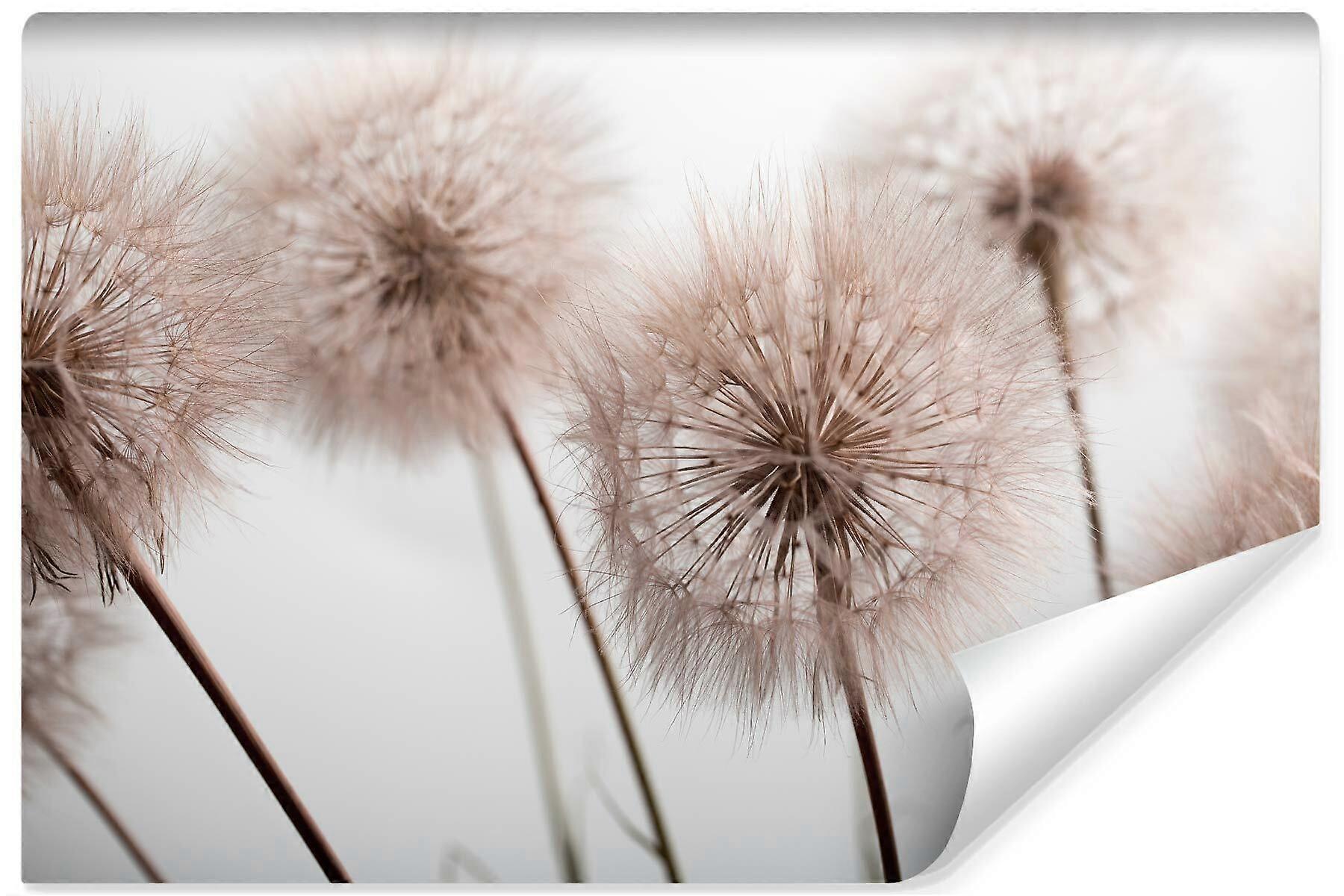 Sovrum väggmålning Blommor, maskrosor, växter, natur