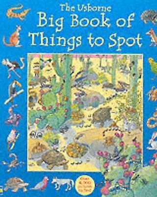 Big Book Of Things To Spot by Anna Milbourne Paperback