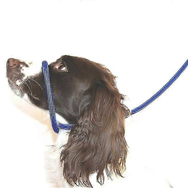 Figure 8 Anti-pull Leash/Harness/Head Collar Super Soft Braided Nylon Blue