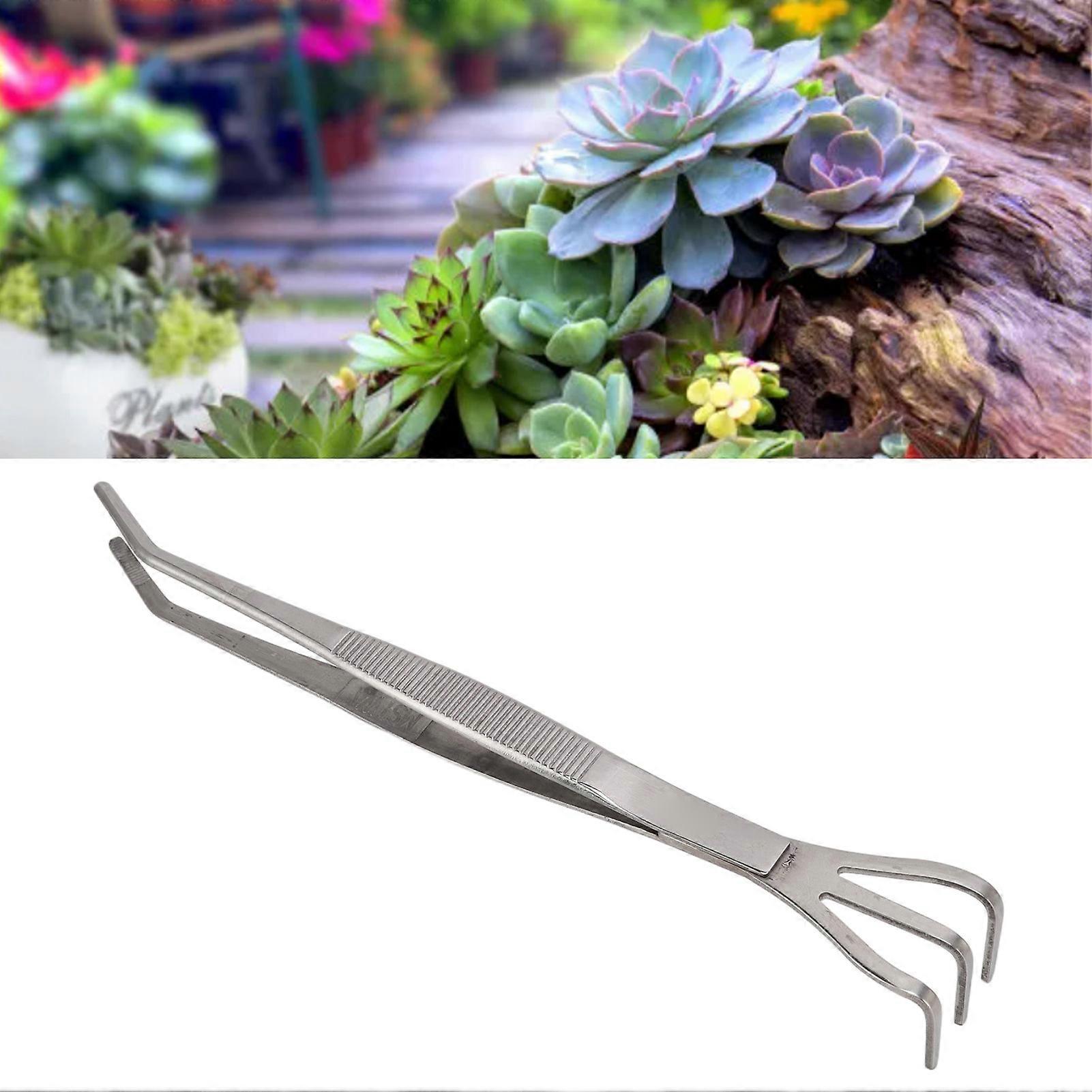 Ancinho de Raiz com Pinça 3 Pinos de Aço Inoxidável Solta Ferramentas de Árvore de Bonsai de Solo com Cabo Ergonômico Dobrado 