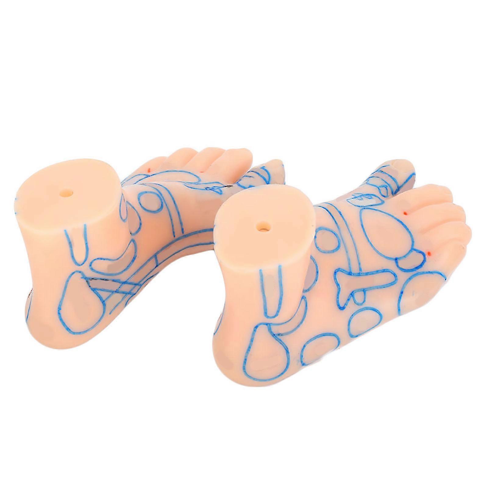 15cm Professional Feet Massage Acupuncture Acupoint Reflection Zone Model Teaching Tool