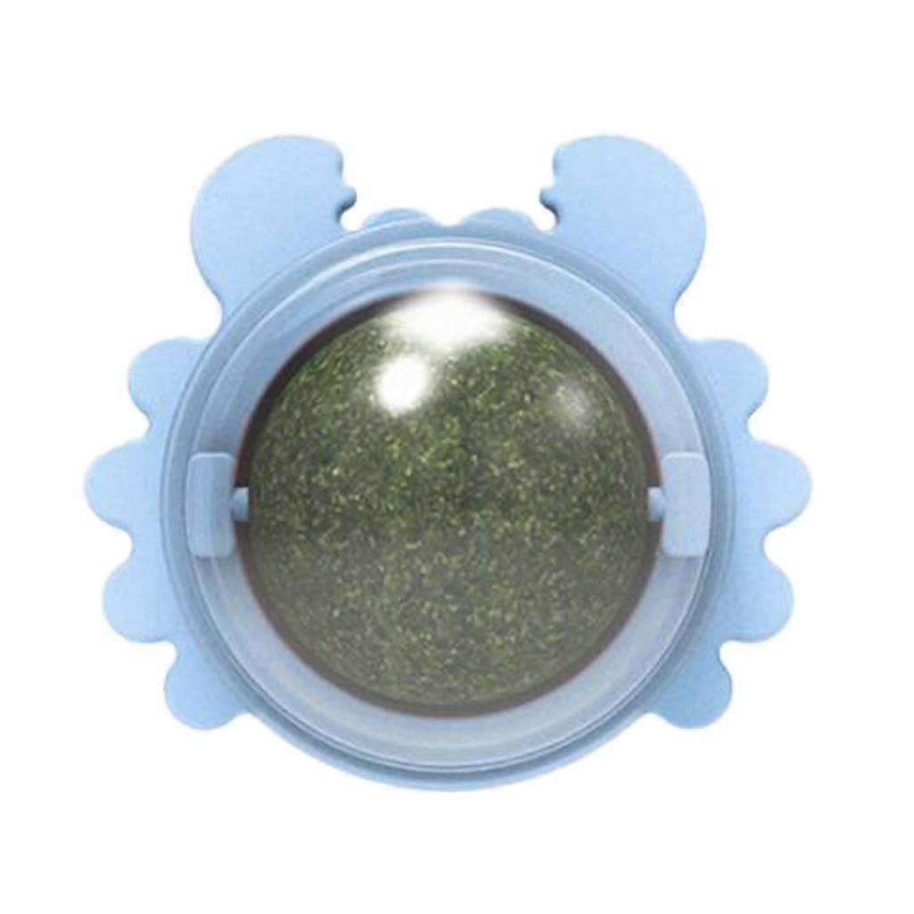 Mint Toy Kitten Treats Chew Toy For Cats Kitten Care For Indoor Cats Interactive Blue