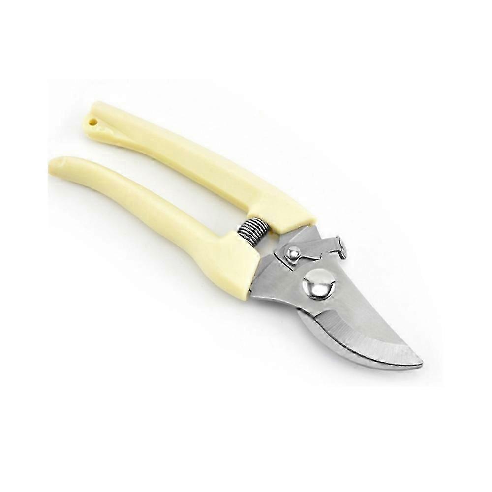 pruner scissors for garden shrubs and branches