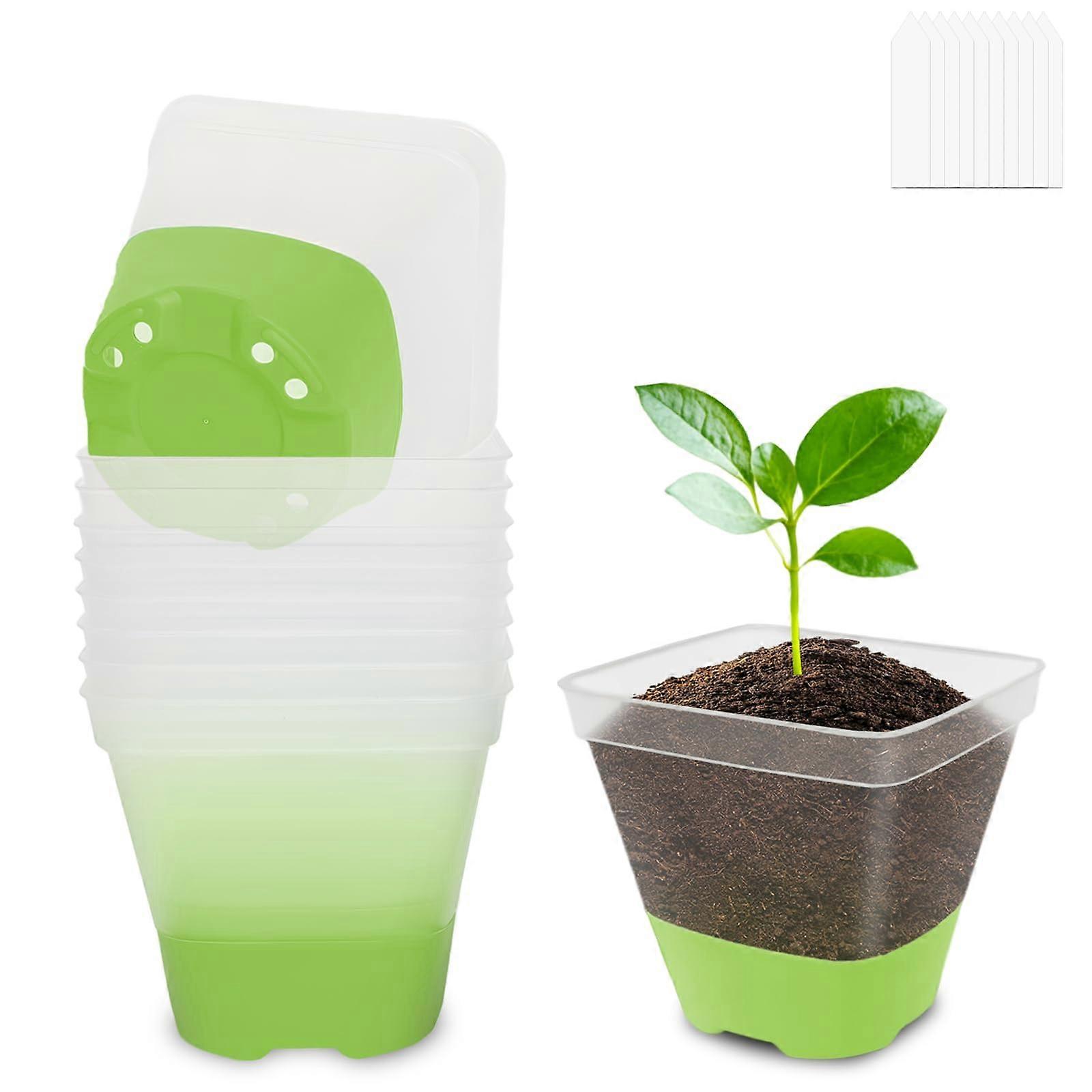 10 Pack Clear Plastic Plant Pots with Drainage and Silicone Base for Easy Root Observation