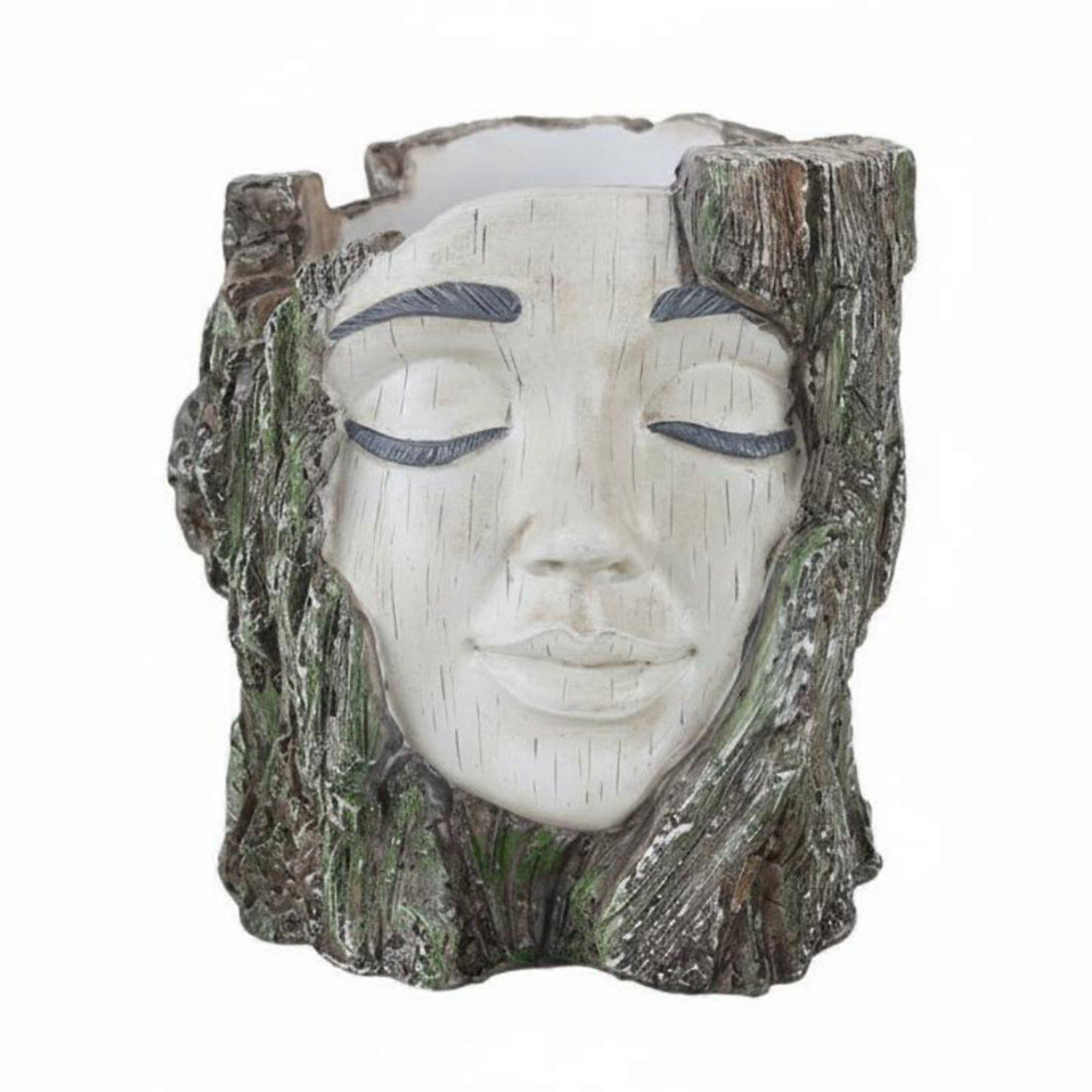 Tree Face Planter Distinctive Face Planter Small Plant Suitable for Windowsill
