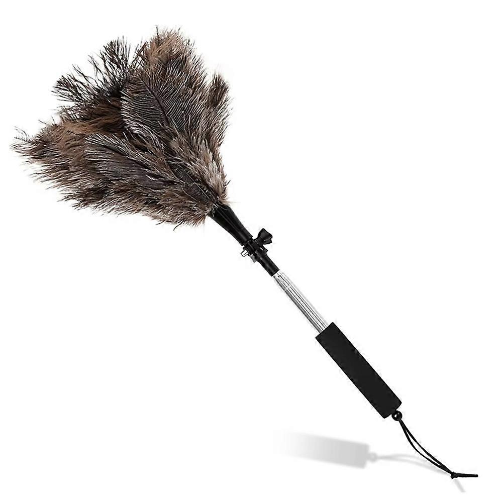 Extendable Duster Handheld Bendable Ostrich Duster Multipurpose Home Cleaning Tool for Ceiling Fan