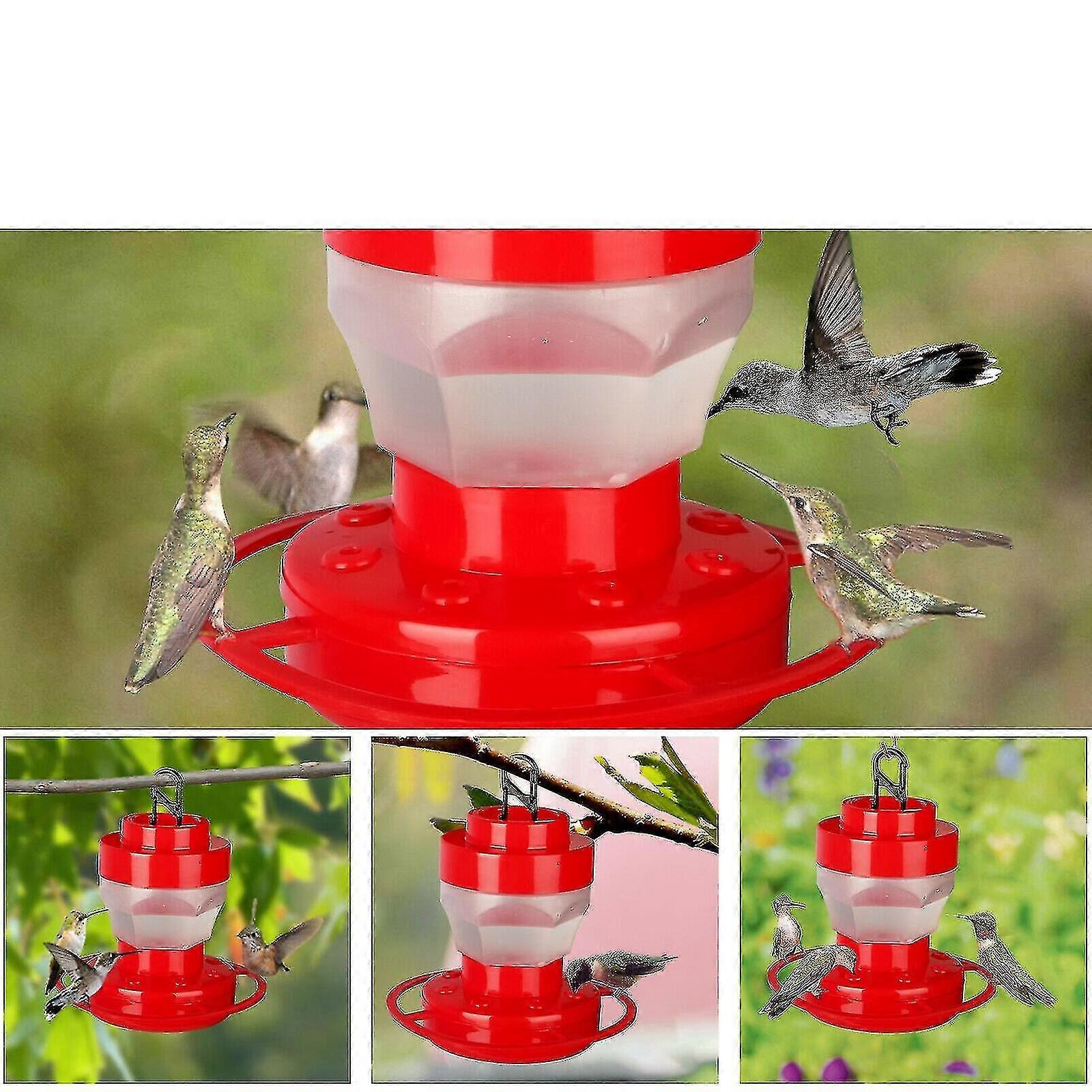 Bird Nectar Feeder