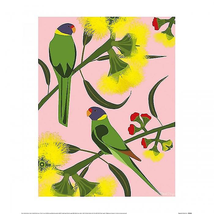 Mokoh Ringnecks Imprimer