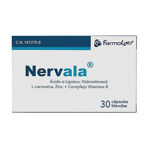 Antioxidant nerve 30 capsules